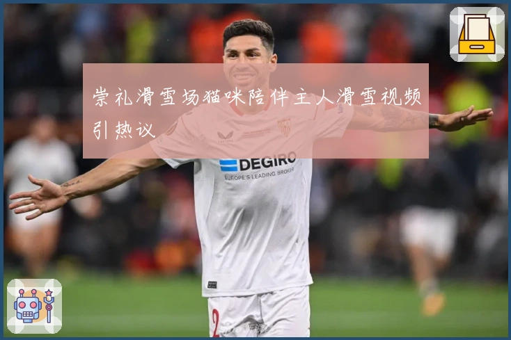 崇礼滑雪场猫咪陪伴主人滑雪视频引热议