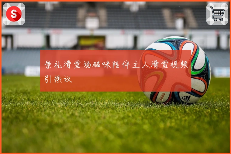 崇礼滑雪场猫咪陪伴主人滑雪视频引热议